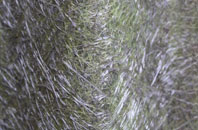 Castlehead fibreglass roof work